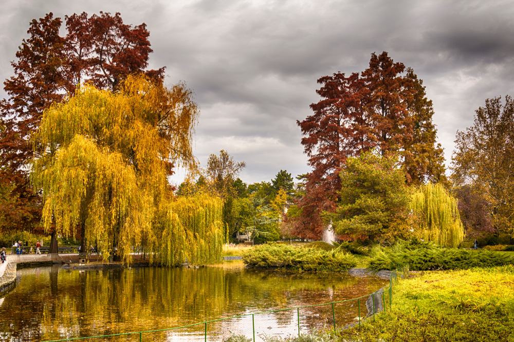 Duna park, Újvidék